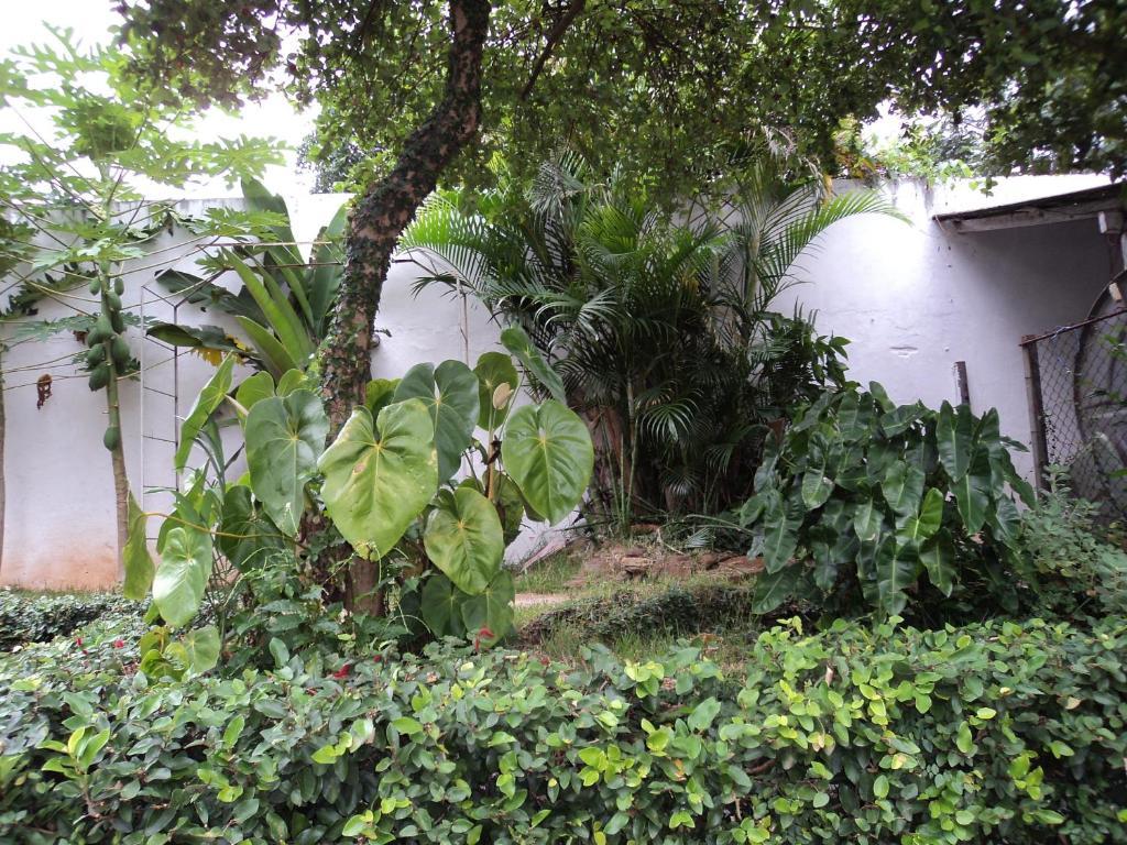 Iguassu Central Flats Foz do Iguacu Bagian luar foto